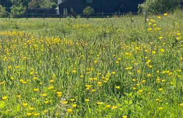 Countryside Barn Close to Kent Vineyards - Foto 21