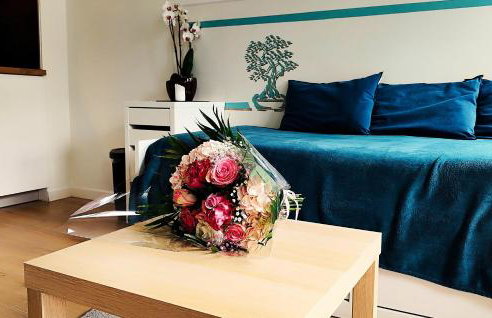 STUDIO NEUF PARKING SECURISE Direct CDG et PARIS CENTRE Parc expo Villepinte & Arena Grand Paris - Foto 22