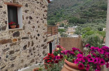 Alexander's cottage - Foto 16