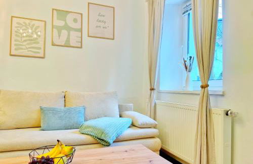 'GoldPath' PassauCity I Central I OldTown I Balkon I Italien garden I stylish I WipuTV - Foto 15