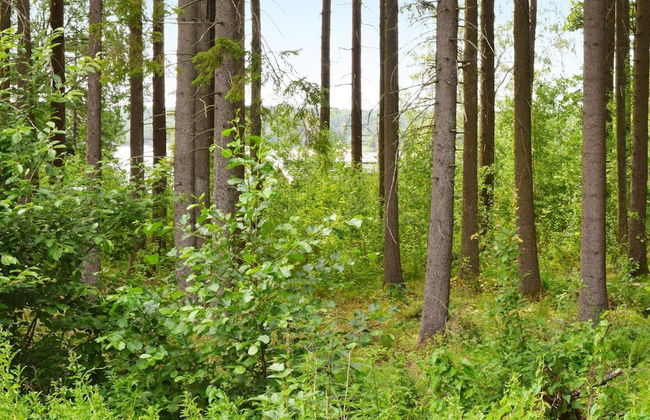 10 Person Holiday Home in Gamle Fredrikstad - Foto 48