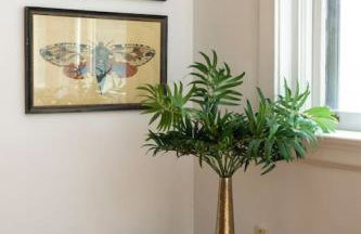 Hyde Park Comfort with Office Near Everything - Photo 21