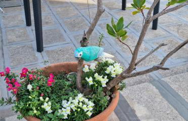 Green Palace - Foto 23