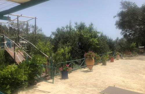 Apagio Othonoi Car Included - Foto 41