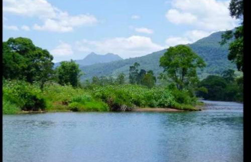 Hospedaria Rural Recanto Verde dos Canyons - Foto 42