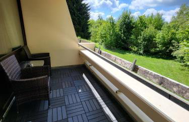 Bergzauber Bayerwald - voll ausgestattetes Familienapartment mit Pool - Foto 44