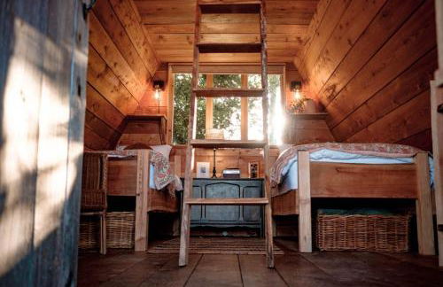 Pattys Barn Holiday Cottages, Cabins and Venue Hire - Foto 13