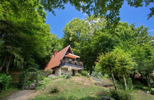 Mrežnički doživljaj - Foto 4