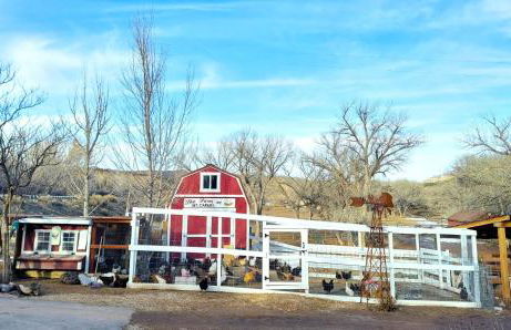 Arrowhead Country Cabins - Foto 27