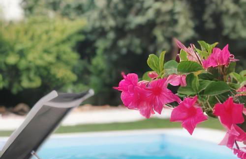 Meio Country House - Foto 27