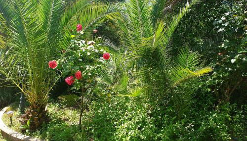 QUIET HOUSE GARDEN NAPLES-POMPEI-SORRENTO - Foto 3