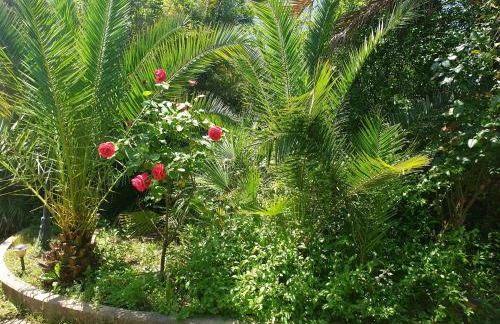 QUIET HOUSE GARDEN NAPLES-POMPEI-SORRENTO - Foto 3