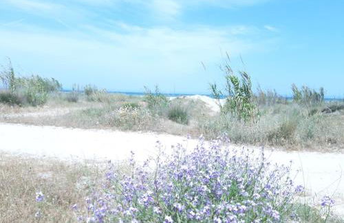 Villa Nicole - STELLA MARINA APARTMENT - Foto 32