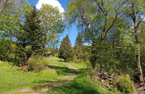 Ferienwohnung 32 im Ferienland Sonnenwald - Bayerischer Wald - Foto 16
