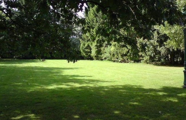 Charming Chalet in Transinne - Photo 34