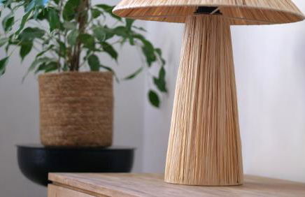 Mas Labrugade - Foto 35