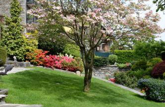 Casa Dolce Casa - Foto 35