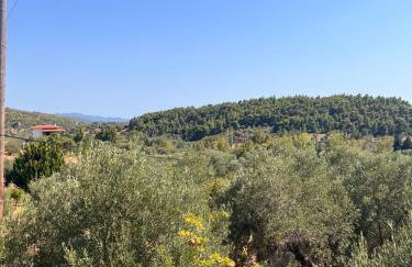 Country Vila - Foto 32