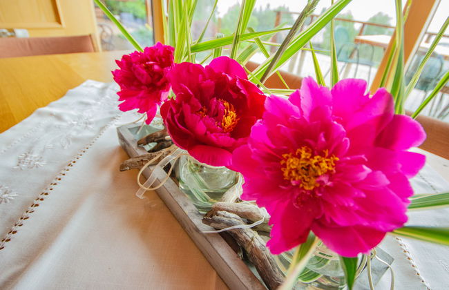 4 bedroom House in Egg with garden and terrace - Photo 30