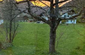 Ferienwohnung Bachl inkl. Chiemgaukarte - Foto 28