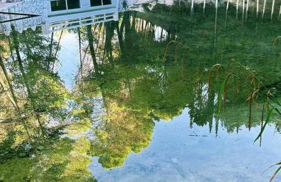 Casa Rural Doña Carmen - Foto 46