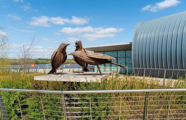 Chestnut Court - Foto 31