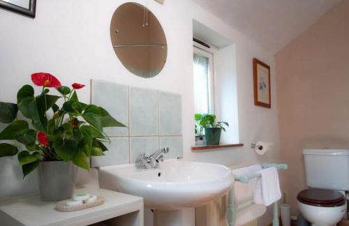 Yr Hen Efail - Old Smithy - Foto 30