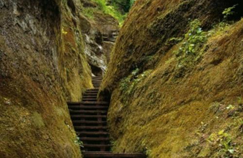 Haus Zum Haiden - Foto 16