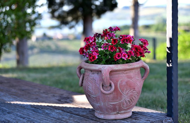 Porsenna Resort - Foto 66