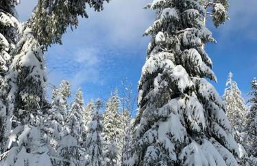 Ferienwohnung Heide - Foto 29