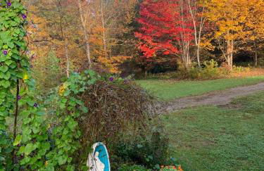 The Disco Den on Toad Road - Photo 34