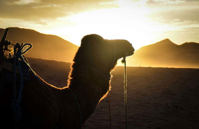 2-Day Zagora Desert Trip - Photo 3