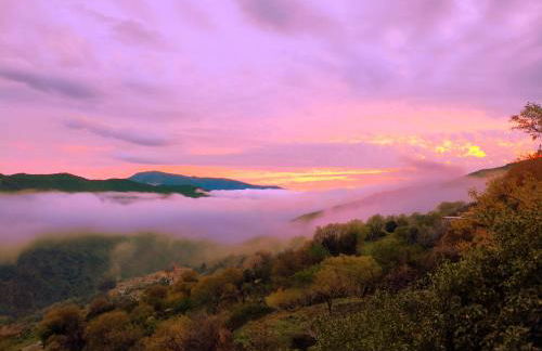 Casa Violeta - Foto 41