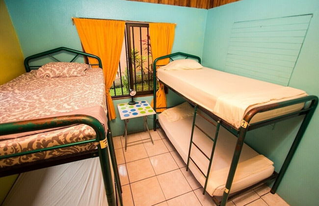 Pura Natura Lodge - Foto 68