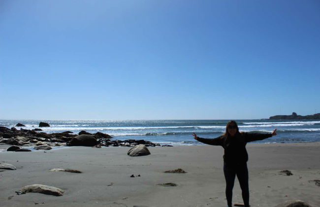 Alerce Costero National Park Day Trip - Photo 6