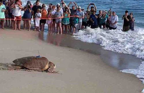 Quaint Coastal Pool Home on Florida's Space Coast - Foto 10