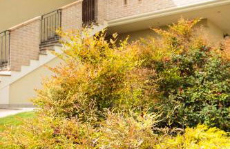 Hotel Residence Eden - Foto 22