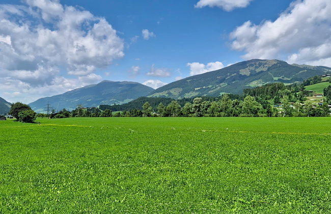 Wieser - Foto 45
