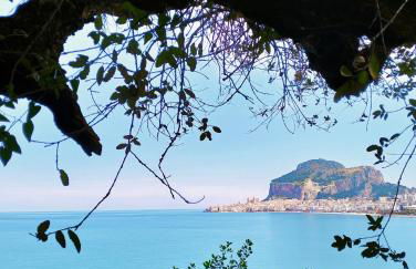 Scinniamare - Foto 47