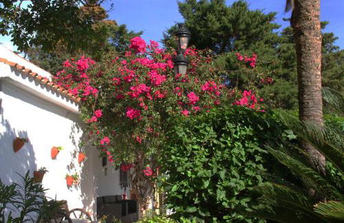 Finca El Campo - Foto 23