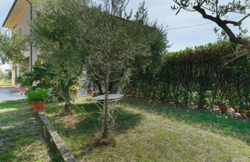 La Casa dell'Olivo - Foto 28