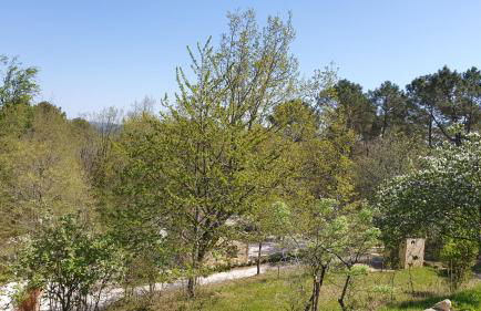 Grand Gite La Salamandre Proche Sarlat de 1 à 10 personnes - Foto 13