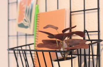 Piso coqueto con PARKING y BALCON - Foto 14