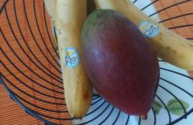 Lily's house near the beach - Photo 21