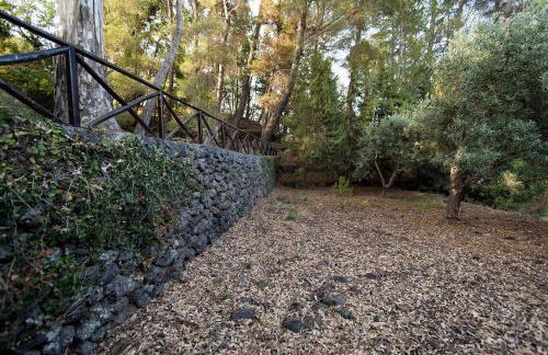 Casa Vacanze Etna - Foto 23