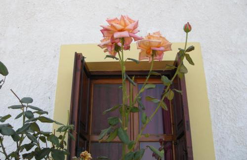 Alkioni Studios - Foto 59