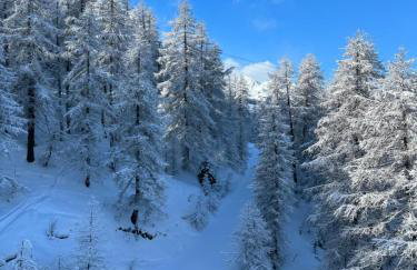 Studio Serre Chevalier (Saint Chaffrey) - Photo 10