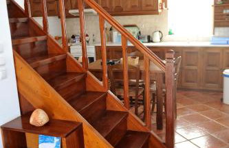 Hydra Erato - Foto 65