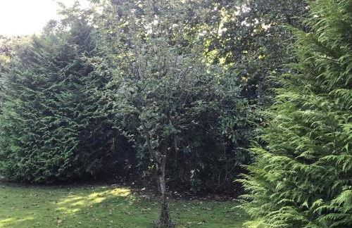 FeWo Aurich Zentrum EG 3 Schlafzimmer und FeWo OG 4 Schlafzimmer - Foto 18