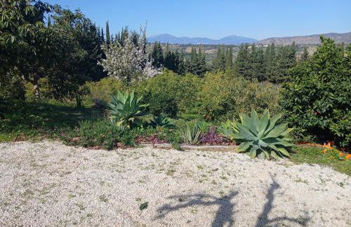 Finca Vista El Montanes - Photo 80